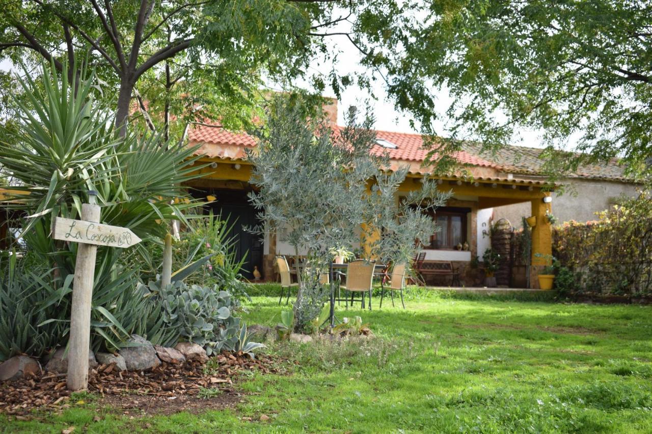 Casa Rural La Coscoja Merida Exterior photo